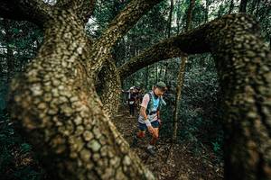 BIB: 
                            <button type="button" onclick="openModal(25393172)" class="btn btn-primary btn-sm float-right btn-popup" data-toggle="modal" data-target=".modal-high-quality">
                        <i class="fas fa-shopping-cart"></i> Add to Cart
                    </button>
                                            <button type="button" onclick="isThisMe(25393172, true)" class="btn btn-success btn-sm float-right btn-popup btn-isme hidden" data-toggle="tooltip" data-placement="bottom" title="นี่คือรูปของคุณใช่ไหม คลิกที่นี่เพื่อเอาเข้าอัลบั้ม">
                        <i class="fas fa-plus"></i> Add to album
                    </button>
                    <button type="button" onclick="isThisMe(25393172, false)" class="btn btn-warning btn-sm float-right btn-popup btn-isnotme hidden">
                        <i class="fas fa-ban"></i> Remove from album
                    </button>